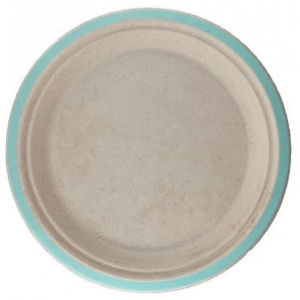 Biodegradable Dinner Plate | Mint | 10 Pack