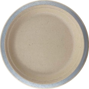 Disposable Lunch Plate