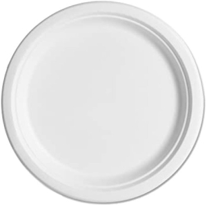 Biodegradable Lunch Plate | White | 10 Pack
