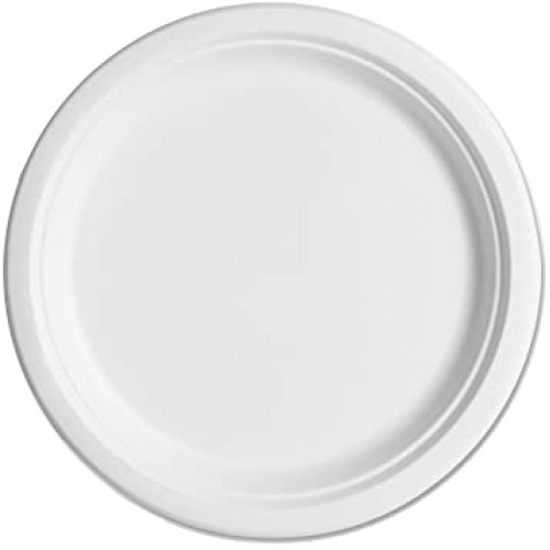 Biodegradable Lunch Plate | White | 10 Pack